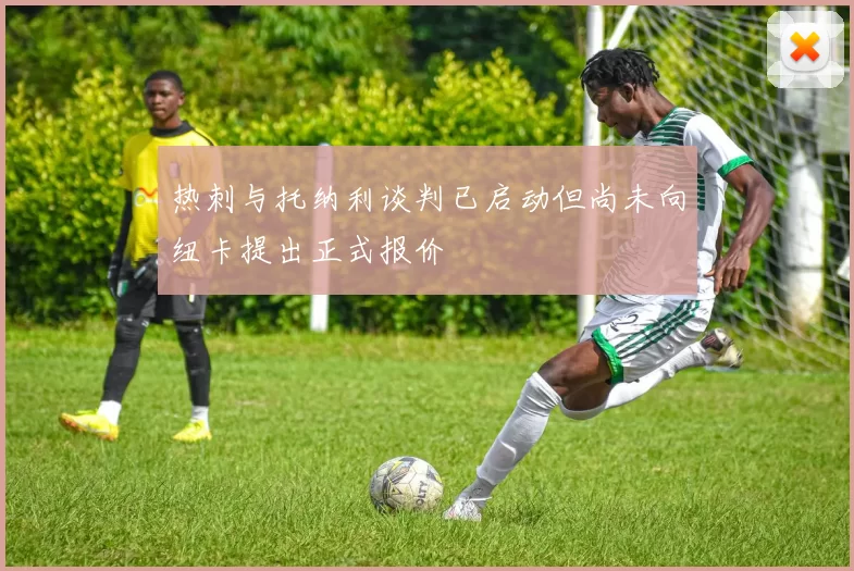 热刺与托纳利谈判已启动但尚未向纽卡提出正式报价