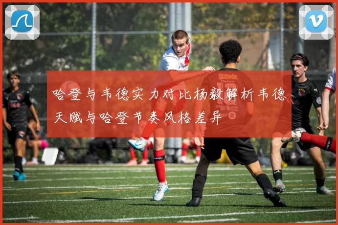 哈登与韦德实力对比杨毅解析韦德天赋与哈登节奏风格差异
